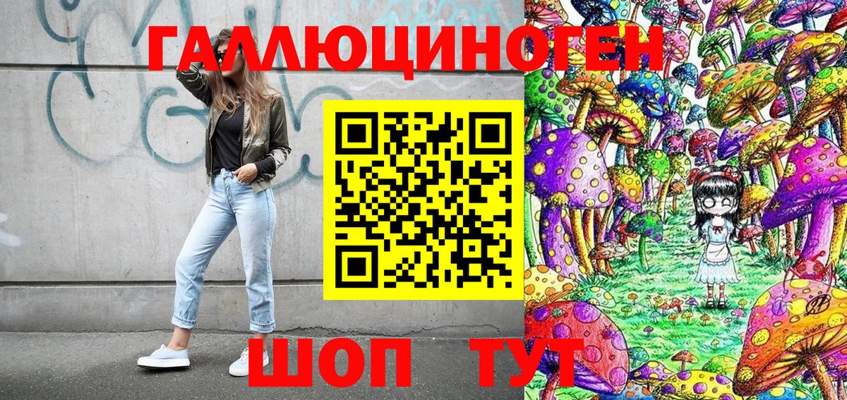 Качканар  Галлюциногенные грибы Psilocybe  купить наркотик  Галлюциногенные грибы мицелий  Вход с VPN 