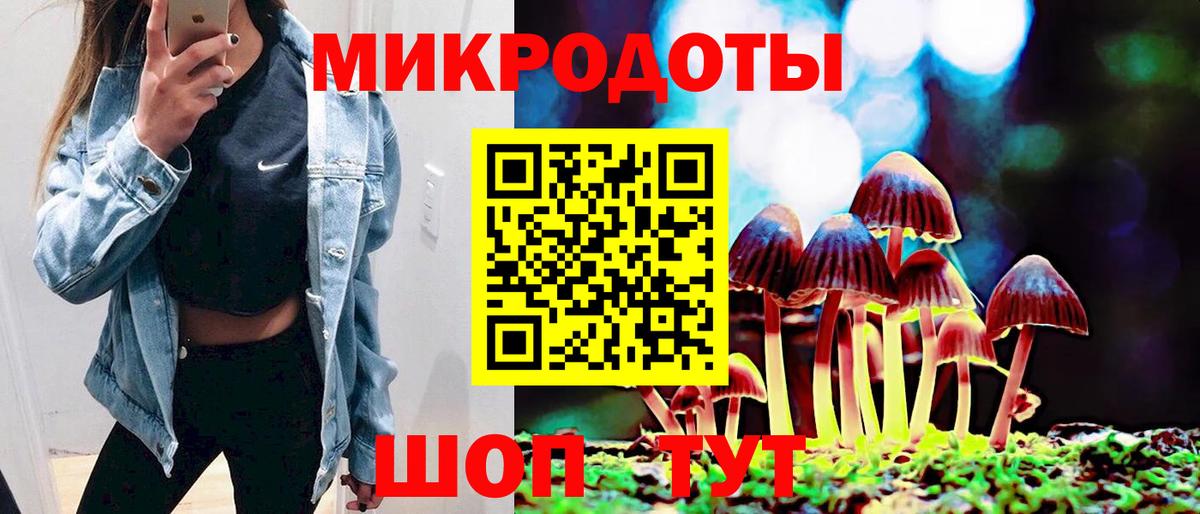 Галлюциногенные грибы прущие грибы Качканар