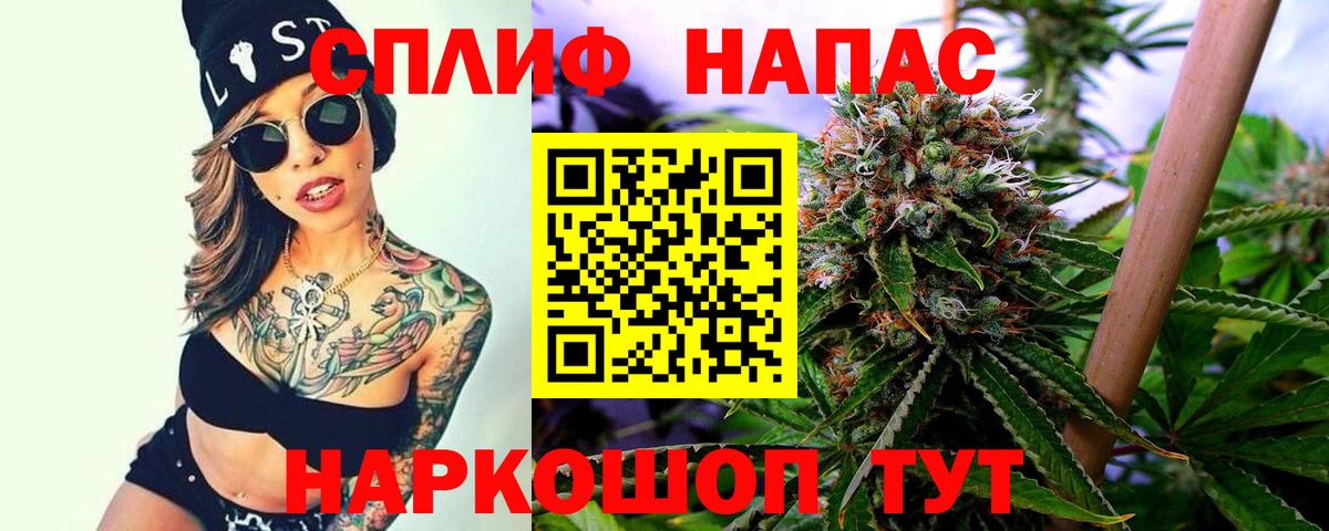 Шишки марихуана OG Kush Качканар